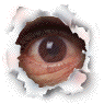 eye.gif (15346 bytes)